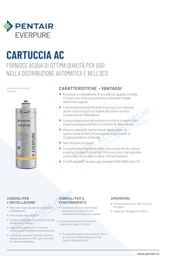 Cartucho Everpure EV960112 de alta capacidad para la cocina moderna 2