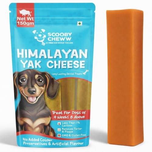Image of Himalayan Yak Stick Dog Treat (Carrot Flavour) | 100% Natural Vegetarian Yak Cheese Chew | Protein & Calcium-Rich Dental Hygiene Snack | Nutritious, Long-Lasting Chew for All Breeds