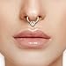 16G Silver Heart Gemstone Septum Ring Jewelry for Septum Piercing- 16 Gauge Surgical Steel Daith Earring - Small Nose Ring Hoop for Women-Pink Purple CZ Gem Septum clicker-8mm 10mm-Cute Dainty Septum
