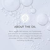 Tisserand Aromaterapy Frankincense Wild Crafted Pure Essential Oil 1 opakowanie (1 x 9 ml)