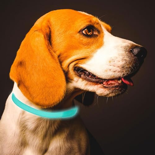 Zeckenhalsband für Hunde Leuchtendes Präventionshalsband gegen Parasiten auf Jede Größe verstellbar 2 STK Einstellbares Floh und Zeckenschutz mit bis zu 8-Monatigen Schutz (Green)