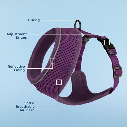 Image of Best Pet Supplies Voyager Aerolite Over the Head Dog Harness, No Pull Breathable Air Mesh Vest, Quick Dry with Reflective Stitching, Adjustable Escape Resistant Harness - Purple, Medium