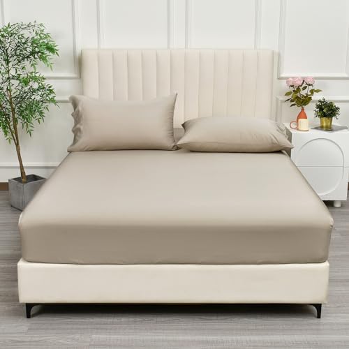 PHF 100% Rayon Derived from Bamboo Fitted Sheet Queen Size,16" Deep Pocket,2.5cm Wider Strong Elastic Easy Fit, Breathable Silky Soft Skin-Friendly for Hot Sleeper,60"x 80",Light Taupe,No Pillowcases