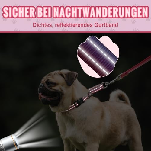 Arblina Martingale Hundehalsband, Reflektierendes Zugstopp Halsband Hunde für Große Mittlere und Kleine Hunde, Nylon Zughalsband mit Stopp für Hunde Whippets, Greyhounds, Saluki, Rosa,S