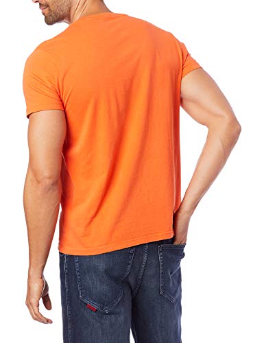 Camiseta T-Shirt, Ellus, Masculino, Abobora, GG