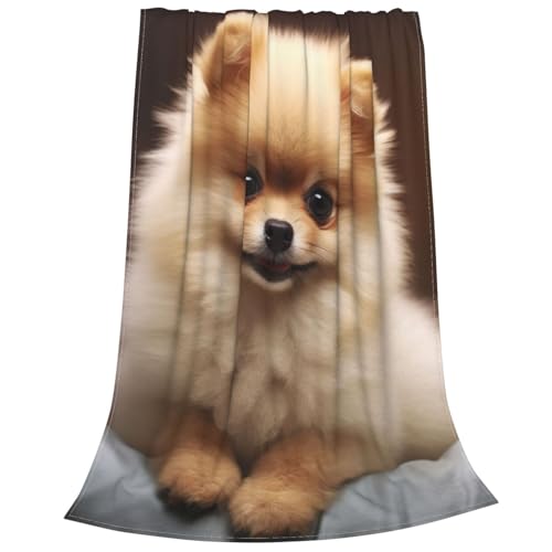 Couverture polaire motif Poméranie, cadeau idéal maison - 3