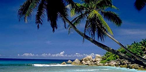 Personalized License Plate - Sunny Summer Beach