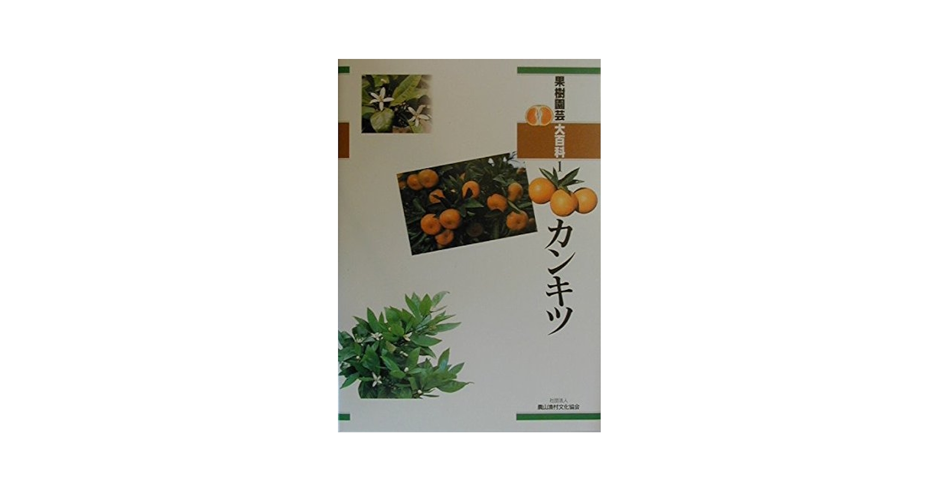 果樹園芸大百科 ８/農山漁村文化協会/農山漁村文化協会（単行本） 果樹園芸大百科 8/農山漁村文化協会/農山漁村文化協会（単行本