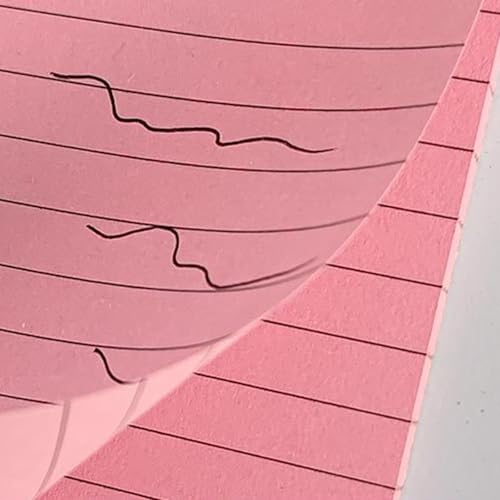 Lot de 4 petits blocs-notes de poche lignés et déchirables pour notes - 6