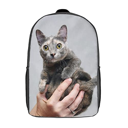 Cartable 17 pouces motif chat contre le mal de dos des ados