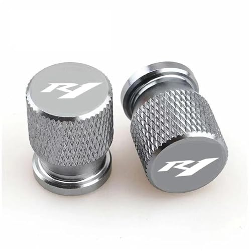 Bouchons de valve pour Yamaha YZF R1 R1M R1S 2014-2025, paires de capuchons de pneu de moto gris
