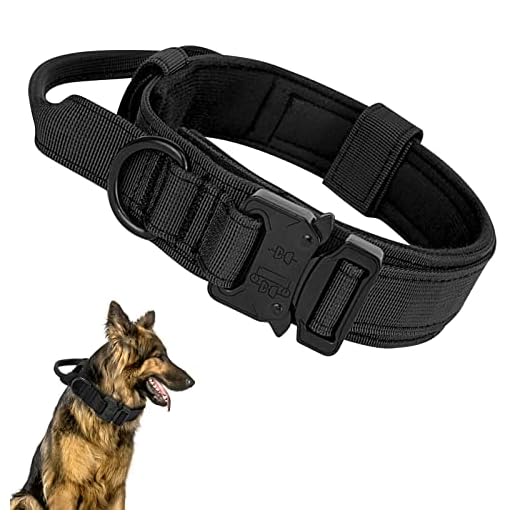 Ledeak Collier de Chien Tactique, Collier Réglable Militaire en Nylon avec Poignée de Commande, Laisse de Chien Bungee Tactique avec Boucle en Métal pour Chiens de Taille Moyenne Chasse