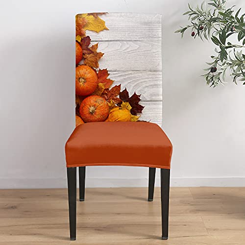 Fallchaircoverssetof4thanksgivingchaircoversfordiningchairsorangepumpkinmapleleafvintagefarmwoodenplankstretchremovablechairslipcoversfordiningroomkitchenholidayparty  Urban Country Home Decor Fall chair covers set of 4 thanksgiving chair covers for dining chairs orange pumpkin maple leaf vintage farm wooden plank stretch removable chair slipcovers for dining room kitchen holiday party  urban country home decor