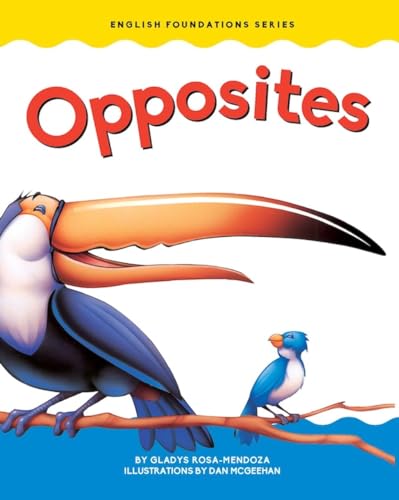 Opposites (Chosen Spot Foundations)