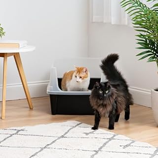 IRIS USA XX-Large Open Top Cat Litter Box with High Sided Walls Tall Scatter Shield Scoop Included Easy Clean Plastic Pan for Big Cats Kittens Multi-Cat Households 30"L x 20"W x 14"H Black