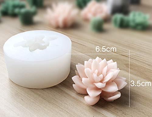 Stampi Per Candele Fai Da Te Stampi Silicone Per Candele Stampi In Silicone Per Piante Grasse - Set Di 9 Forme Per Candele, Sapone, Resina, Fondente Kit Per Candele Fai Da Te