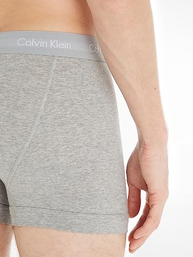 Image of Calvin Klein Men's 2-Pack Cotton Classics Basic Brief