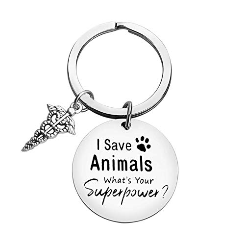 Veterinarian Keychain Jewelry Appreciation Jewelry Thank You Gift for Medical Veterinary Practitioner Vet Tech Gift Animal Rescue Gifts Dog Cat Lover Jewrlry Veterinary Medicine Graduation Gift