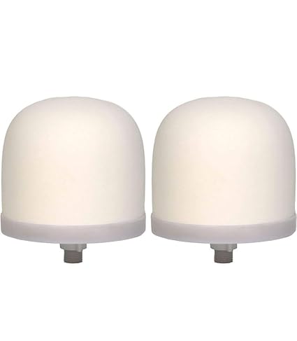 Ceramic Dome Water Filter Silver Impregnated with Active Carbon (2 pack)