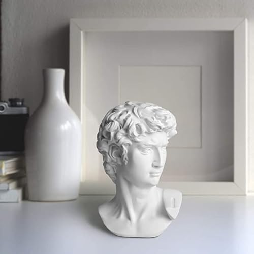 YiYFiT Resin Bust Statue Figur,6\ 15cm Griechische Mythologie David Bust Sculpture Figur für Home Ornament Büro Bücherregal Dekor Skizze Praxis DIY Kunst Geschenk-David