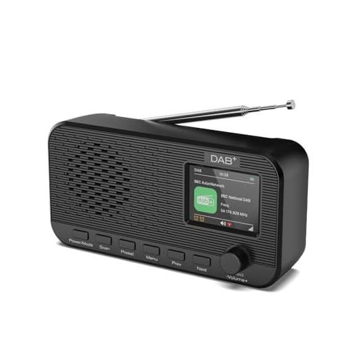 OiDiPi DAB Radio mit Bluetooth, wiederaufladbares UKW-Digitalradio, Radios batteriebetrieben, tragbares DAB+ Radio, Küchenradio mit 80 Voreinstellungen, 2,4-Zoll-Farbdisplay, Dual-Wecker, Sleeptimer