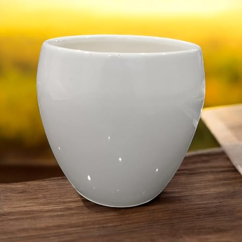 Image of Ceramic Planter Pot with Spiral Design, 17.78cm Height, White Planter Vase for Indoor Plants, Living Room Office Gardens (7 inch) Round (Apple Pot)