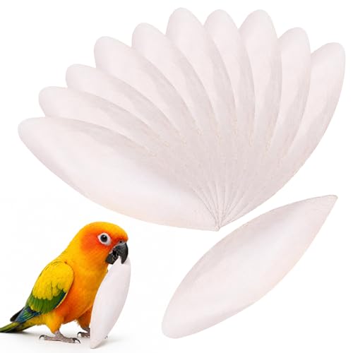 YcsRnn Cuttlefish Bone Cuttlefish for Birds Cuttlefish Bone for Tortoise Cuttlebone Budgie Accessories Tortoise Toys 12 Pieces 8-10 cm