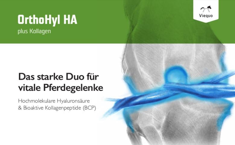 VetVital Viequo OrthoHyl HA | 1 l | Ergänzungsfuttermittel für Pferde | ADMR-konform