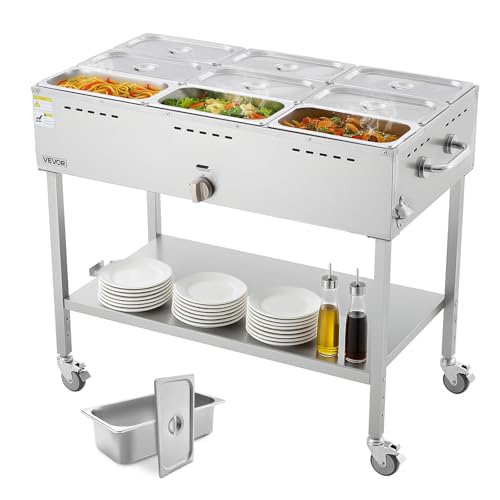 VEVOR 9-Pan Commercial Propane Steam Table, LP Gas Outdoor Soup Warmer with Drain Valve and 3' Wheels...
