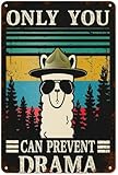 Tin Signs Vintage Only You Can Prevent Drama Living Room, Kitchen, Farm Tin Sign Hanging Poster Decor Rustic Home Decor 8X12 Inches