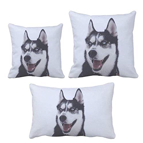 Coussin pour grand chien Husky DIYthinker : la solution confort contre le sol froid - 2