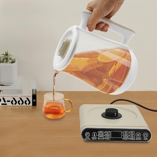Tetera eléctrica Health Pot 1.8L acero vidrio miniatura 5