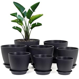 Homeuouz 8er-Set Blumentöpfe mit Untersetzer, Schwarz