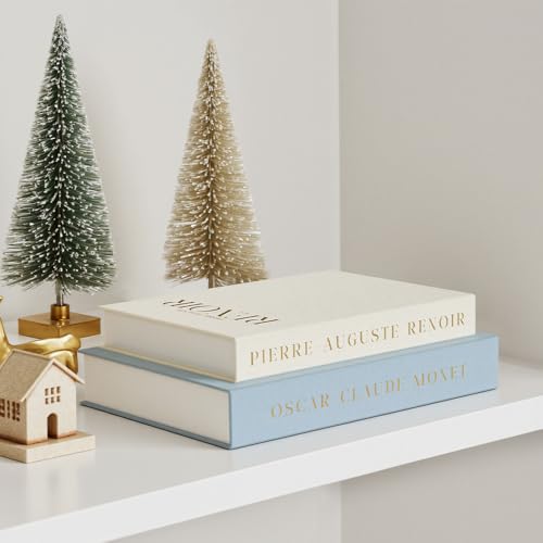 Aesthetic Decorative Books - Set of 2 Linen Fake/Faux Books