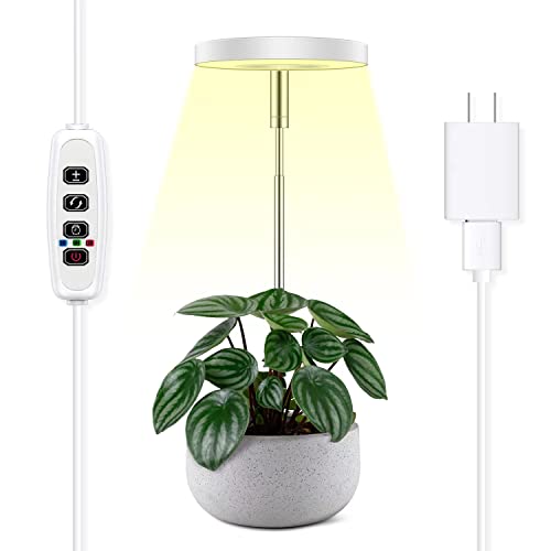 Best Indoor Plants For Pacific Northwest Reviews For 2023