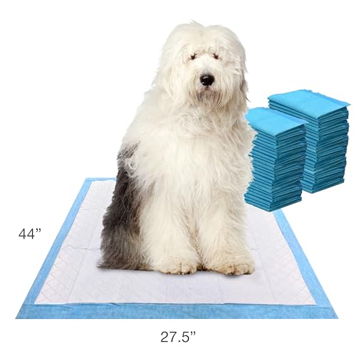 Image of Four Paws Wee-Wee Superior Performance Gigantic Dog Pee Pads, 50 Count | Puppy & dog potty training pads, all day floor protection, housebreaking pet supplies, leak-proof puppy pads, 27.5 inch x 44 inch