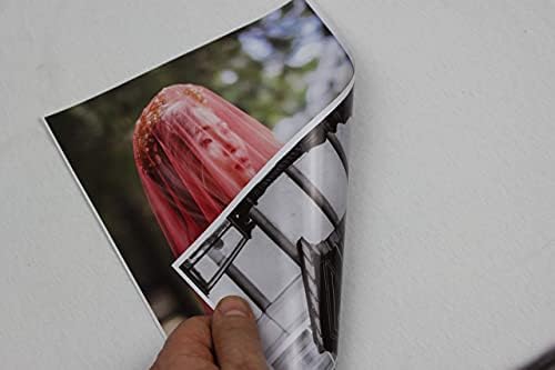 PPD 100 Sheets A4 Inkjet Brochure Flyer Paper 140gsm Double Sided Glossy Photo Quality PPD-72-100