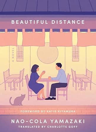 Buy Beautiful Distance: A Novel Book Online at Low Prices in India ...