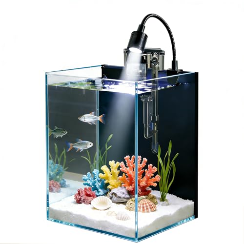 Betta Fish Tank kit,Small Nano Glass Fish Tank Start Kit with Filter,LED Light for Shrimp,Small Fish,Betta (1.5 Gallon)