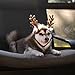 Midlee Furry Antlers Dog Headband