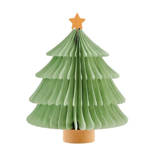 prefer fuku -tomolulu-  ܂肽ݎ NX}Xc[Cg 24.5cm 2.Green L