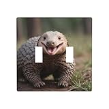 Design pratique : le motif imprimé tendance peut être assorti avec des prises, des interrupteurs, des GFCI, des prises USB, des minuteries, des variateurs, des capteurs et d'autres appareils de câblage décoratifs de taille standard, et est adapté pour remplacer n'importe quel panneau mural avec la même configuration.