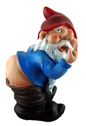 Funny Guy Mugs Garden Gnome Statue Mooning Gnome Indoor Outdoor Garden Gnome Sculpture For Patio Yard Or Lawn Buy Online In Brunei At Brunei Desertcart Com Productid 6672040