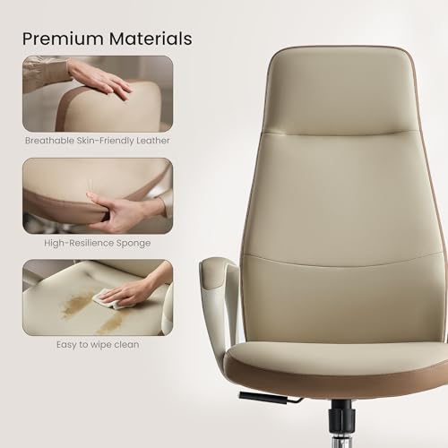 branch office chair