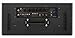 VOX VT100X Digital Modeling Amp, 100W