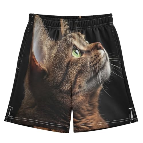 Cat Kids Shorts Pull-on Boys Shorts with Elastic Waist Casual Athletic Pants for Outdoor Summer Playwear