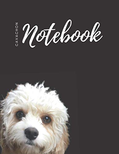 Cavachon Notebook: Fun, lined, large 8.5 X 11 inch black journal with adorable puppy cover
