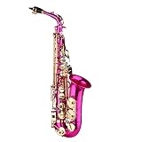 Brass Engraved EB E-Flat Alto Saxophone Sax Abalone Shell Buttons Wind Instrument with Case Gloves C