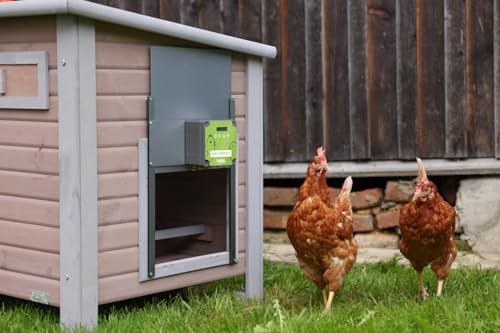 Kerbl Automatische Hühnertür Komplettset EasyProtect, mit Lichtsensor, B x H 32,5 x 58 cm, Batterie oder Netzbetrieb, 70590