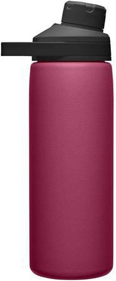 Chute Mag Vacuum Insulated Stainless Steel Water Bottle - 20oz, Plum